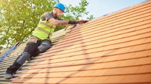 Best Asphalt Shingle Roofing  in Trion, GA