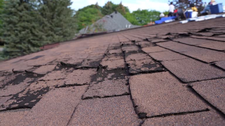 Roof Coating Services in Trion, GA