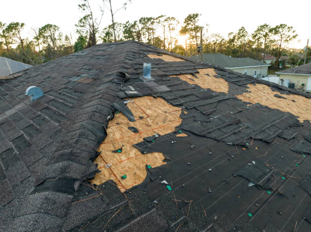 Best Green or Eco-Friendly Roofing Solutions  in Trion, GA
