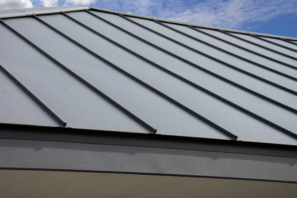 Best Chimney Flashing Repair  in Trion, GA