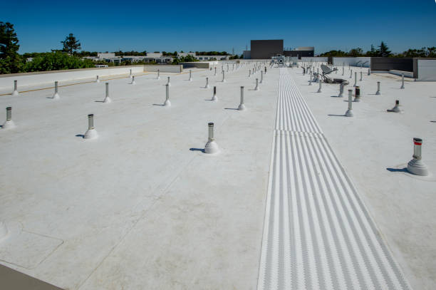 Best Roof Repair  in Trion, GA